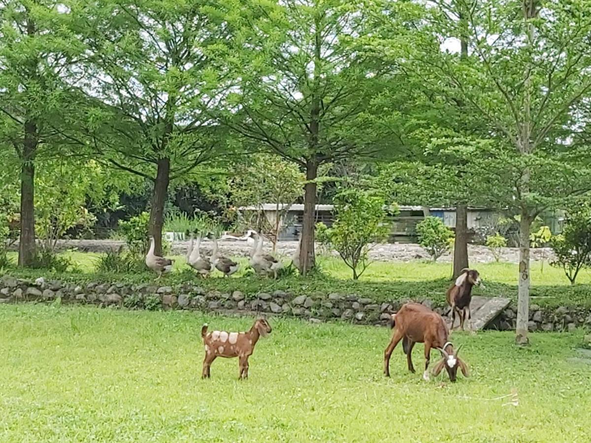 Meihua Lake Leisure Farm Dongshan  Dış mekan fotoğraf